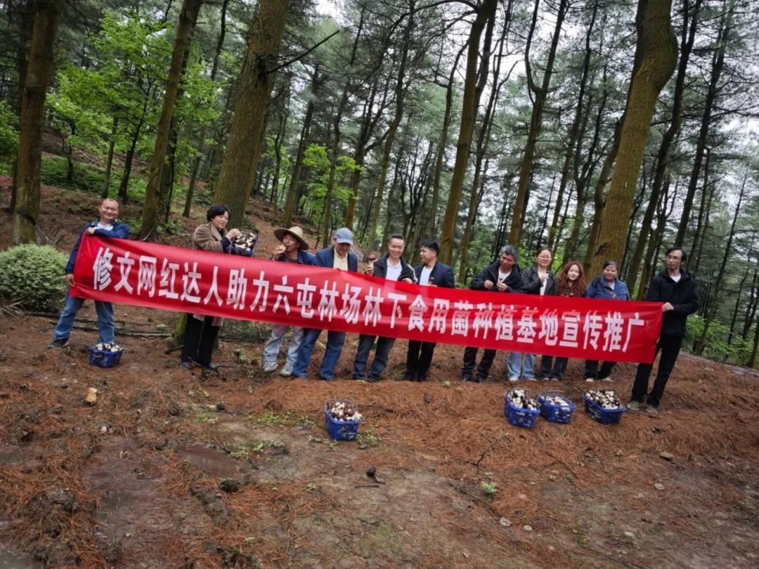 修文县商务局携手网红达人对六屯林场林下食用菌种植基地开展宣传推介活动