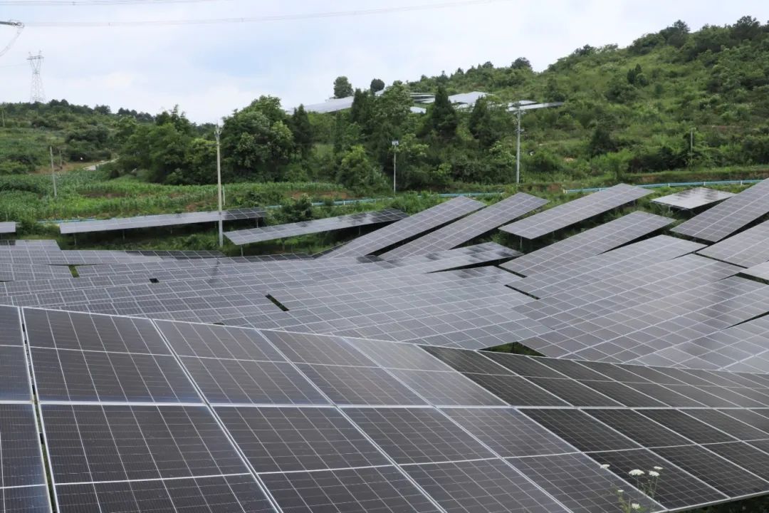全省乡村振兴优秀驻村第一书记张贤兴：扎根基层共绘乡村振兴新画卷