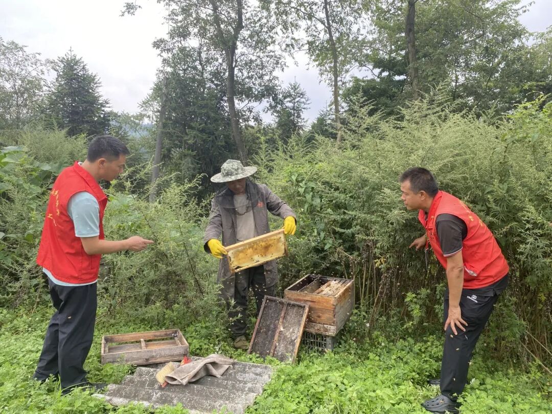 【排队抓尾·奋进修文】修文县六屯镇陆丰村：“蜂”光无限促增收 尾端发力酿“甜”果