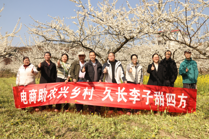 电商助农兴乡村，久长李子甜四方